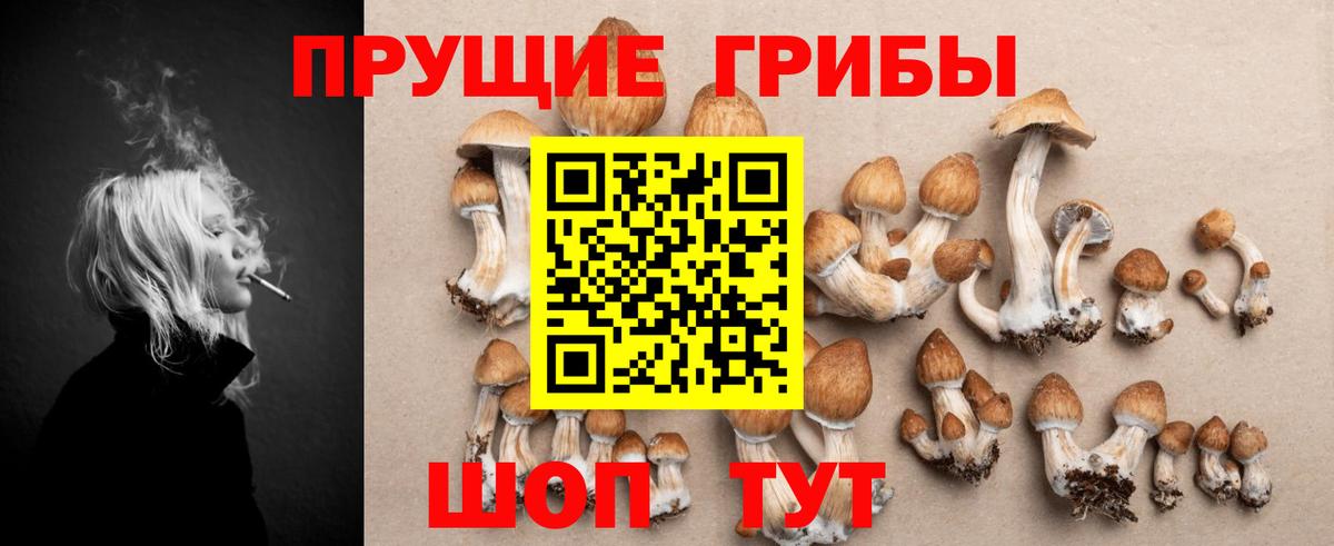 Галлюциногенные грибы ЛСД  Вход с VPN  Аша  Псилоцибиновые грибы мухоморы 